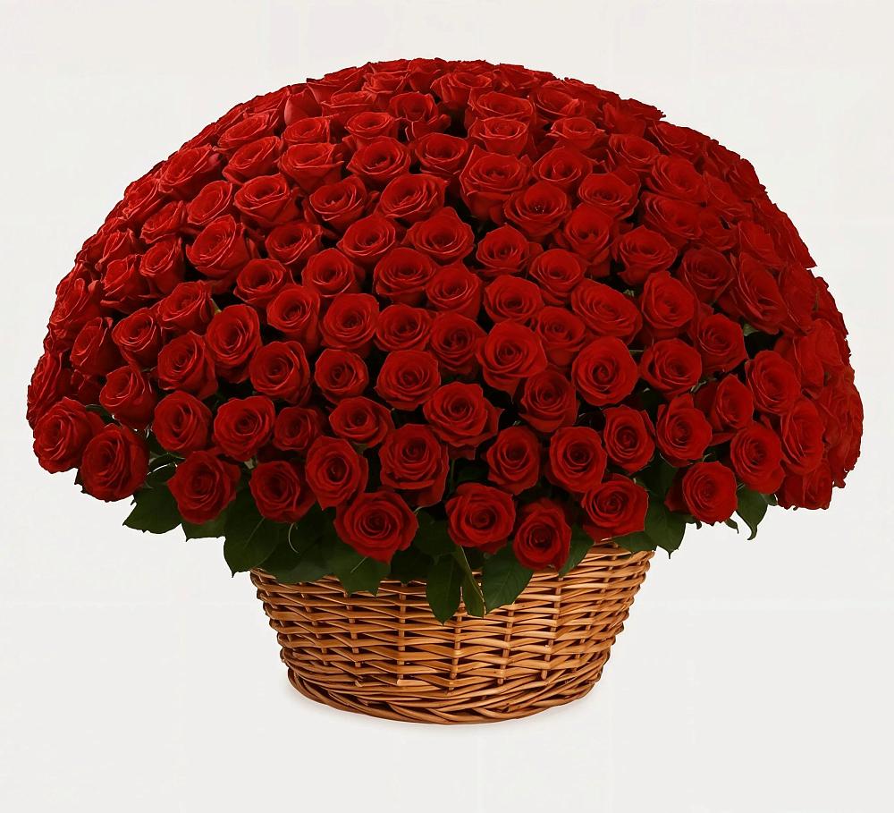 Премиум букет из: Розы в Иваньково 