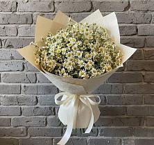 Букет цветов из:  Ромашки #REPLACE_PRED# Иваньково 