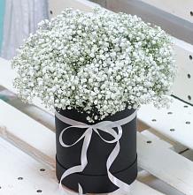 Цветочная композиция из Гипсофила в шляпной коробке #REPLACE_PRED# Иваньково 