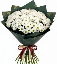 Букет цветов из:  Хризантемы #REPLACE_PRED# Иваньково 