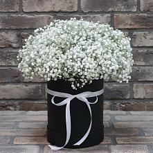 Цветочная композиция из Гипсофила в шляпной коробке в Иваньково 