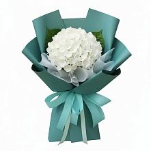 Букет цветов из:  Гортензия в Иваньково 
